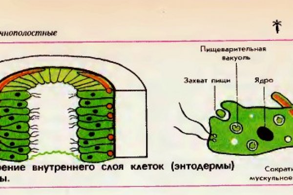 Ссылка на кракен реальная