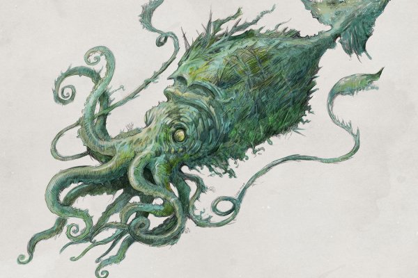 Kraken kraken link24 info