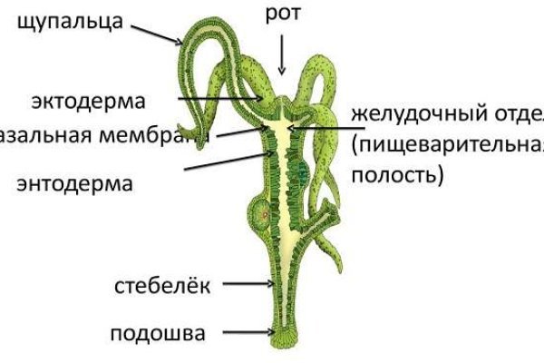 Кракен даркнет площадка